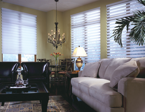 Energy Efficiency and Window Shades