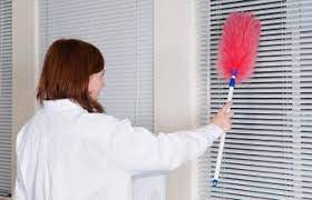 cleaning window shade